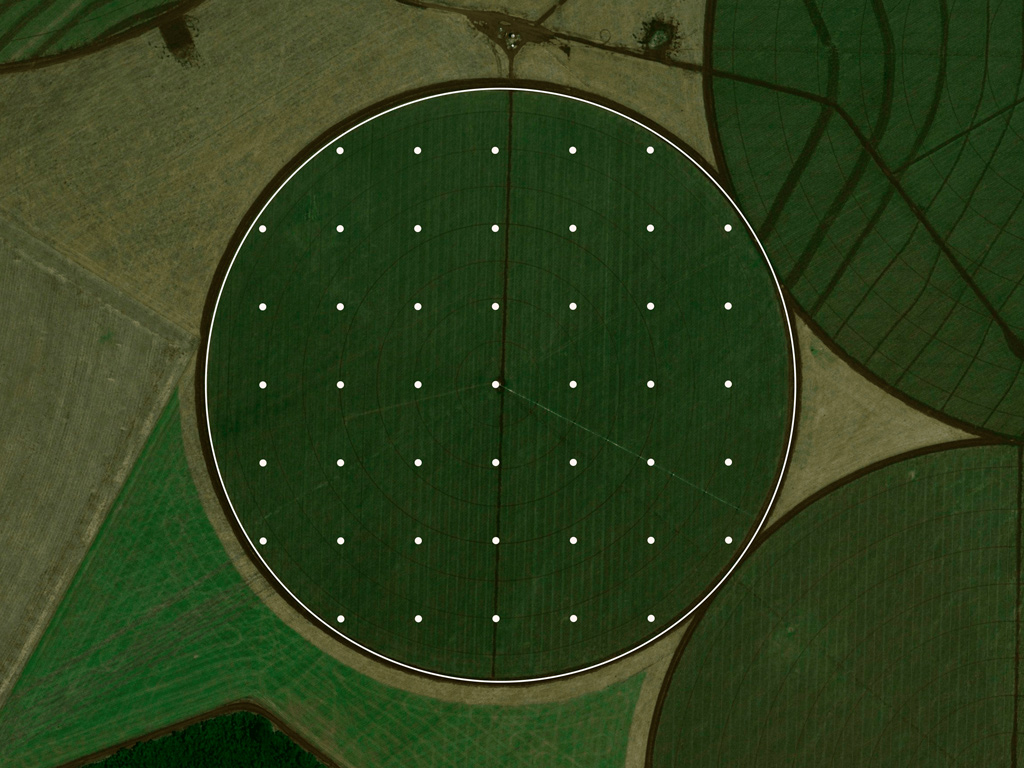 Planejamento amostral